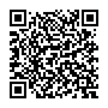 QR code for 291-FLX