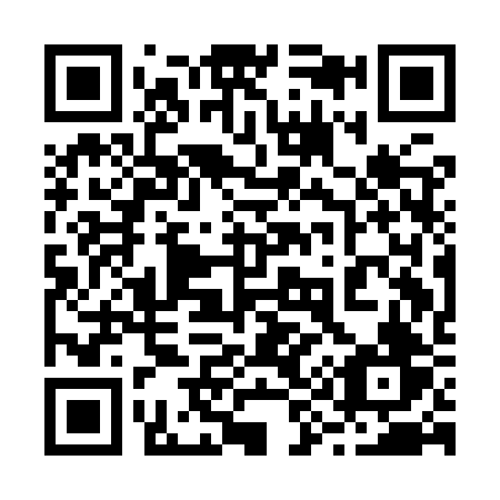 QR code for 291-IRV