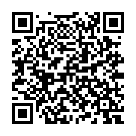 QR code for 291-PMG