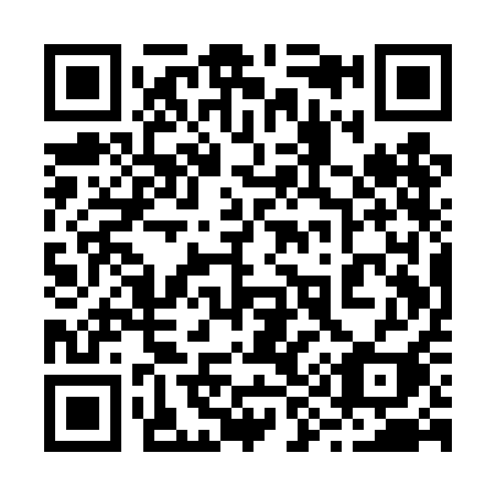 QR code for 291-TAI
