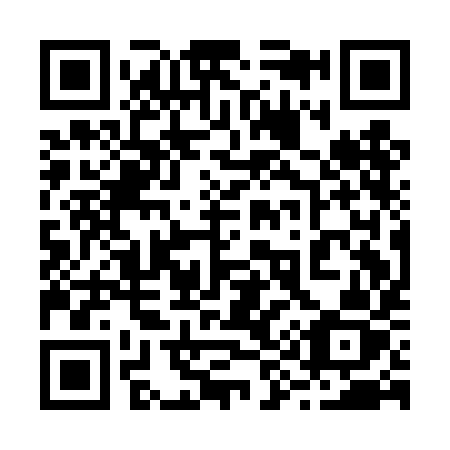 QR code for plate 291-DIZ