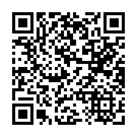 QR code for plate 291-NCK