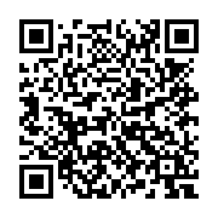 QR code for plate 291-NXX
