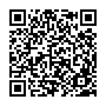 QR code for plate 291-UFV