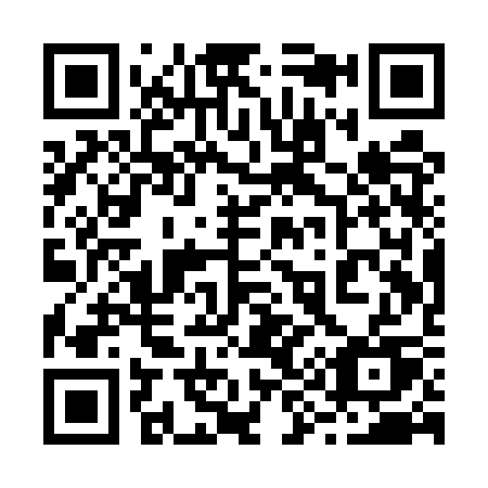 QR code for plate 291-USU