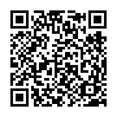 QR code for plate 291-VFS
