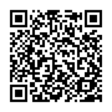 QR code for plate 292-MMH