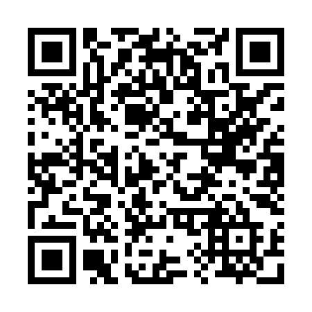 QR code for 293-HYE