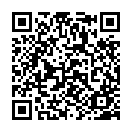 QR code for 294-JDT