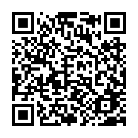 QR code for plate 294-BPB