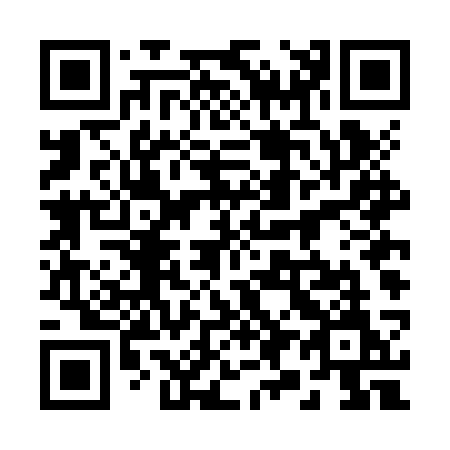 QR code for plate 294-JSM