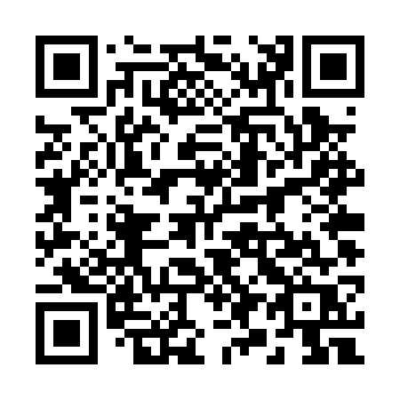 QR code for 294PWR