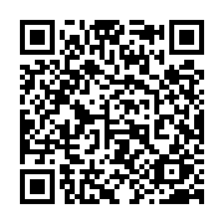 QR code for plate 294-URP