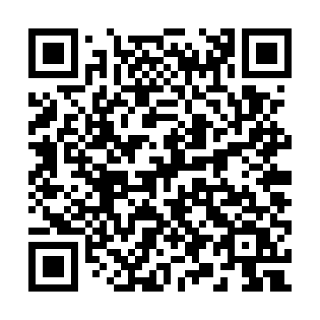 QR code for plate 294-UUV