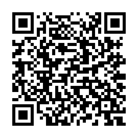 QR code for plate 294-XDU