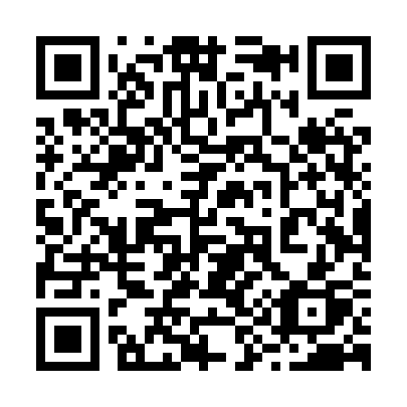 QR code for plate 294-XSP
