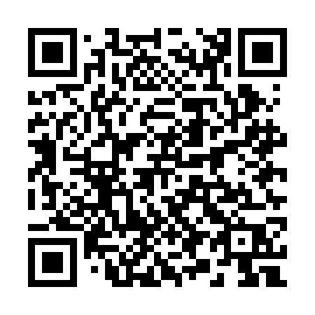 QR code for 295-BGP