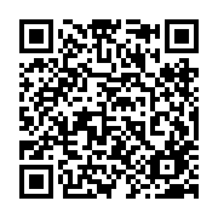 QR code for 295-BHD