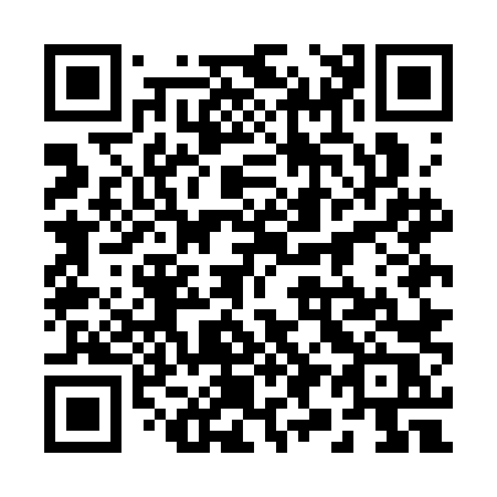 QR code for 295-CLR