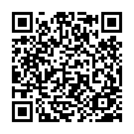 QR code for 295-DLU