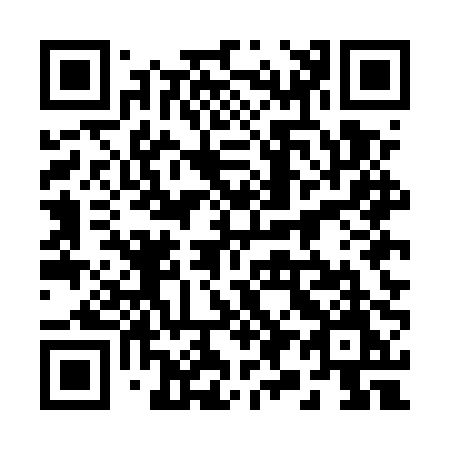 QR code for 295-EPM