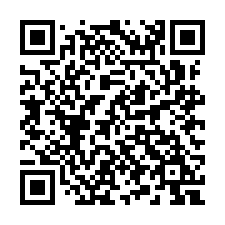 QR code for 295-IBM