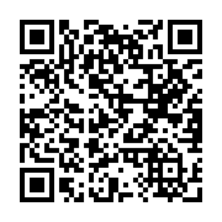 QR code for 295-IGY