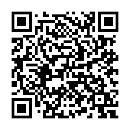 QR code for 295-MCU