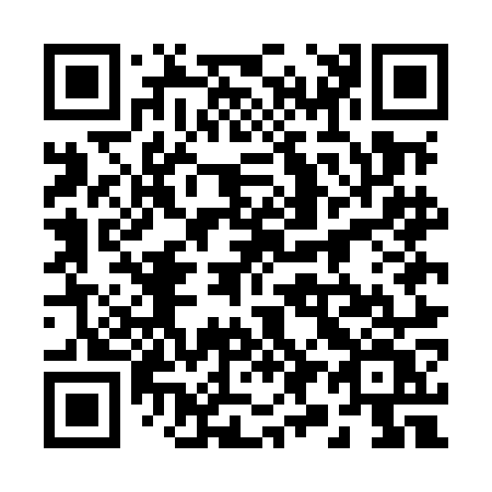 QR code for 295-MOV