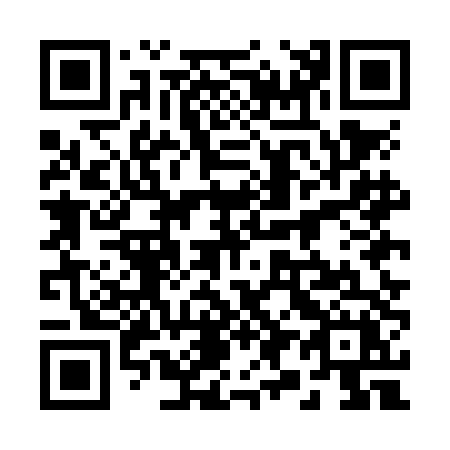QR code for 295-NDX