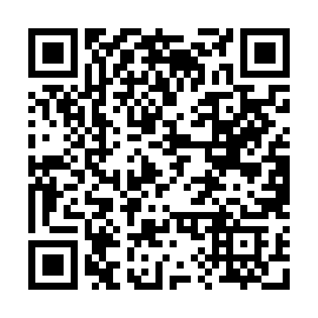 QR code for 295-NHC