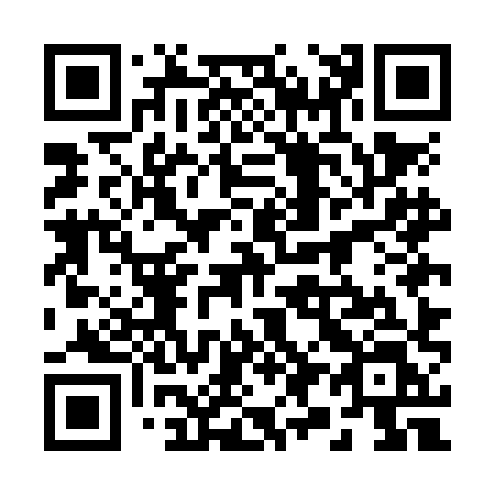 QR code for 295-NHL