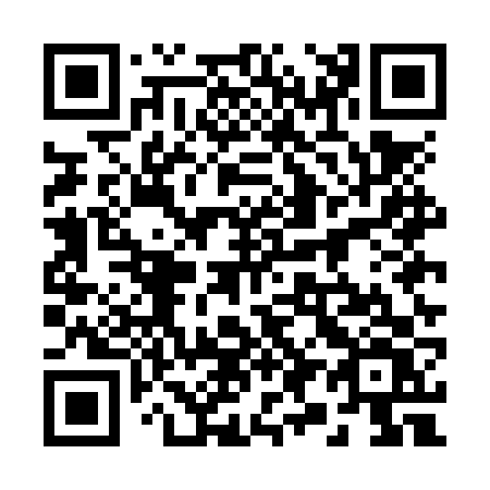 QR code for 295-NVV