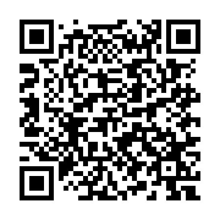 QR code for 295-ONO