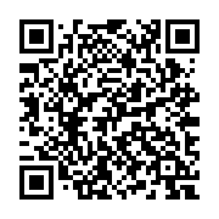 QR code for 295-RIF