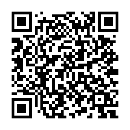 QR code for 295-TWV