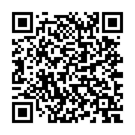 QR code for 295-TYT