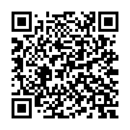 QR code for 295-UDV