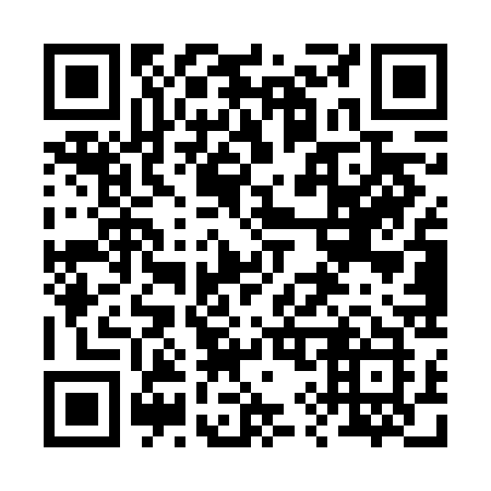 QR code for 295-VCK