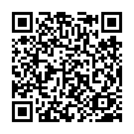 QR code for 295-VSP