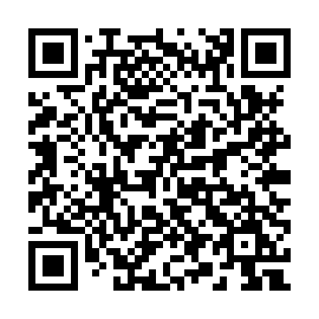 QR code for 295-XTM