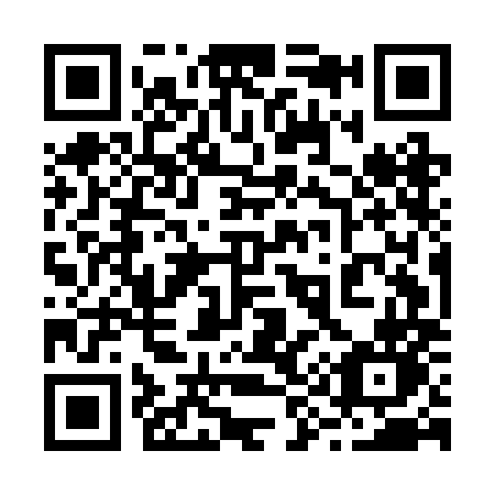 QR code for plate 295-BMN