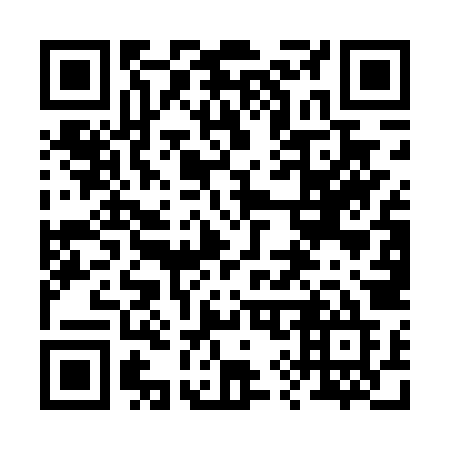 QR code for plate 295-DZE