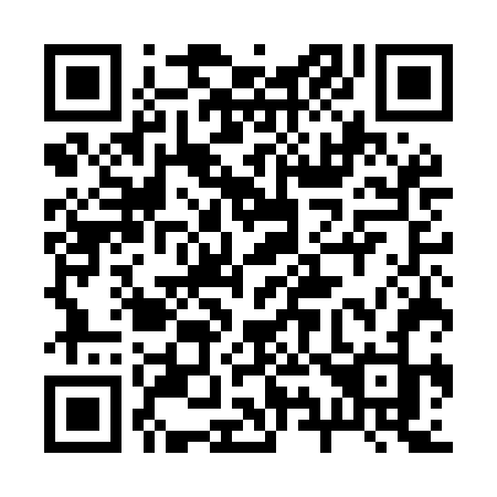 QR code for plate 295-MFJ