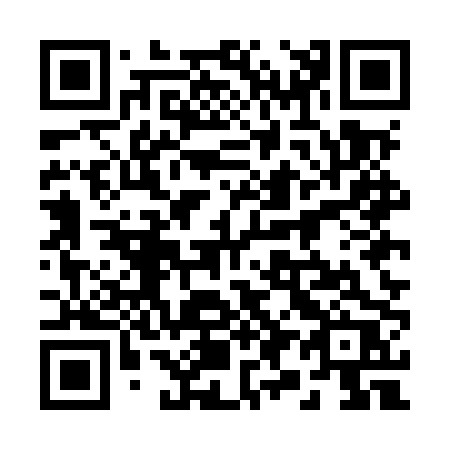 QR code for plate 295-MPR