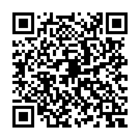 QR code for plate 295-MRI