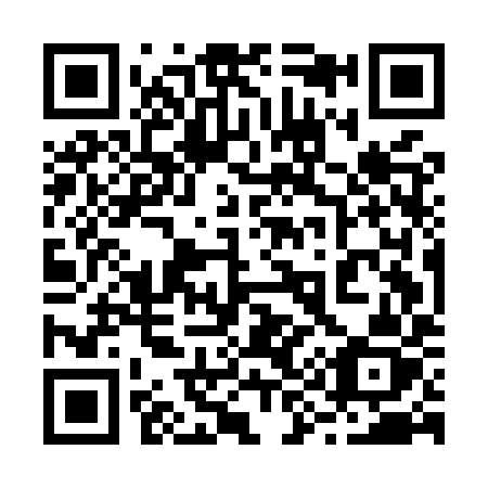 QR code for plate 295-MYZ