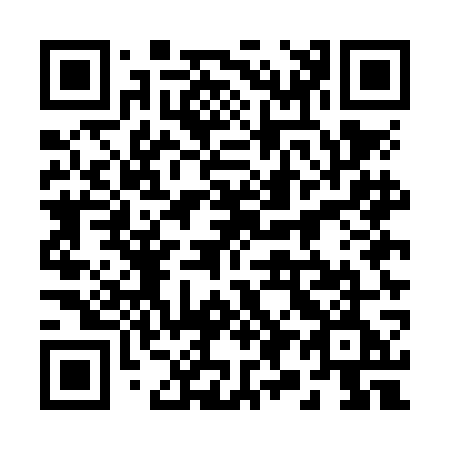 QR code for 295NGE