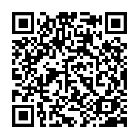 QR code for plate 295-QKH