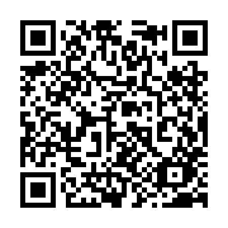 QR code for plate 295-SHO